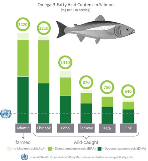 farmed salmon omega-3 6 ratio|does salmon have omega 6.